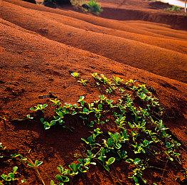 《铁拳8》总监原田胜弘回应联动《死或生》：可能性很小